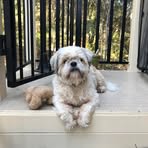 Derek Hamilton - Facebook