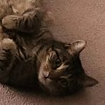 Derek Hammond - @dead_darik - Instagram