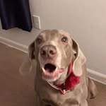 Derek Handy - @dhandy20 - Instagram