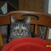 Derek Harbaugh - Facebook