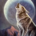 Derek Hardesty - Facebook