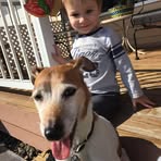 Derek Harwell - Facebook