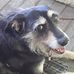 Derek Hasty - Facebook