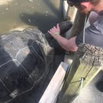 Derek Heflin - @derek.heflin - Instagram