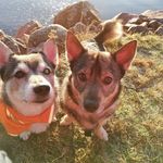 Göötit Derek & Jekku Helmer - @dede.ja.jekkumaakari - Instagram