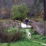Derek Hendrickson - @hendricksonderek - Instagram