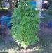 Derek Hendrickson - Facebook