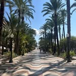 Derek Hendrix - @derekhendrix98 - Instagram