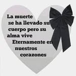 Derek Heredia - @heredia.derek - Instagram