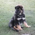 Derek Herrmann - @derekherp - Instagram