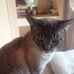 Derek Herrer - Facebook