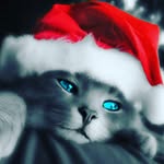 DerekHeyll - @derekheyll - Instagram