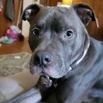 Derek Hightshoe - @derekhightshoe - Instagram