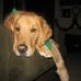 Derek Hills - Facebook
