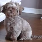 Derek Hook - @hookderek - Instagram