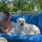 Derek Howe - @derekhowe259 - Instagram