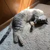 derek 🔻 - @derek.hull - TikTok
