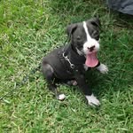 Derek H.M - @derek_hurtado998 - Instagram