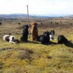 Derek Hutchison - @hutchielab - Instagram