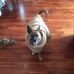Derek Hutchison - Facebook