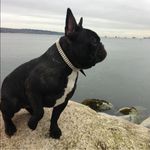 Derek Hutchison - @hutchison.derek - Instagram