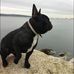 Derek Hutchison - Facebook