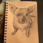 Derek Hwang - @derekhwang - Instagram