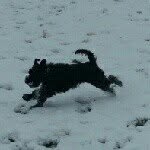 derek - @derekhynes - Instagram