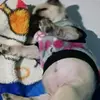 derekibarra00 - @derekibarra00 - TikTok