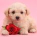 Dereck Ito - Facebook