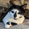 derek.iverson - @derek.iverson - TikTok