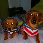 Derek e Izzie - @derekeizzie - Instagram