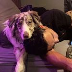 @rizzo_derek - Instagram