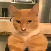 @Derek$ - @derek.uriel.jaime - TikTok