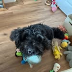 Derek Jason - @derekjason1940 - Instagram