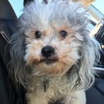 Derek Jason Velez-Wilson - @zigzagsmile633 - Instagram