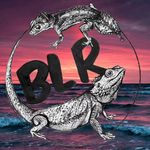Derek Johnson - @bucketlistreptiles - Instagram