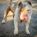 Derek Joslin - Facebook