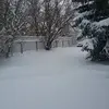 Derek Kanyo - @derekkanyo - TikTok