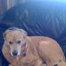 Derek Kemble - Facebook