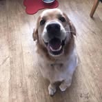 Derek Kidd - Facebook