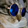 Derek Kole - @d.k_1984 - TikTok