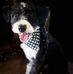 Derek Lancaster - Facebook