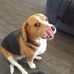 Derek Lentfer - Facebook