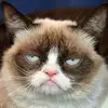 Dereck Lapointe - @dereck.lapointe5 - TikTok