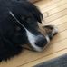 Derek Lapointe - Facebook
