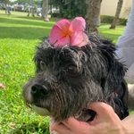 Derek A Latham - @derek.latham.79 - Instagram