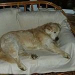 Derek Latham - @derek.latham.988 - Instagram