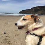 Derek Leach - @jderekleach - Instagram