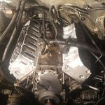 Derek Levesque - @project_00hoe - Instagram